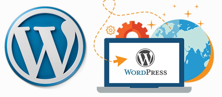 Custom WordPress Development Services Company | WP Agency